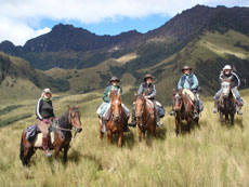 Equateur - Groupe de cavaliers  - Randonnée équestre sur l'avenue des volcans - Randocheval / Absolu voyages